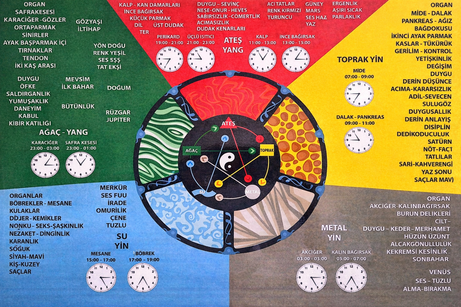 Beş Element Sistemi - Geleneksel Çin Tıbbı Element Döngüsü ve Organ Bağlantıları