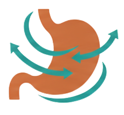Sindirim Sağlığı